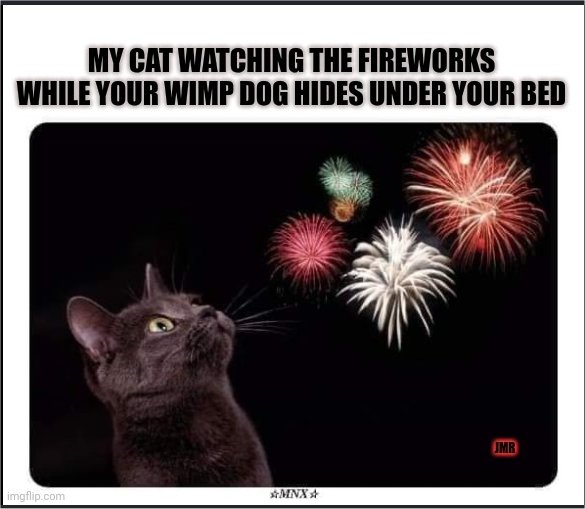 my fireworks caturday majorgeeks.jpg
